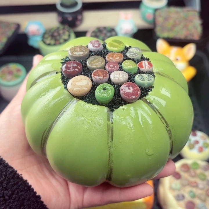 571零下地区记得拍保温箱