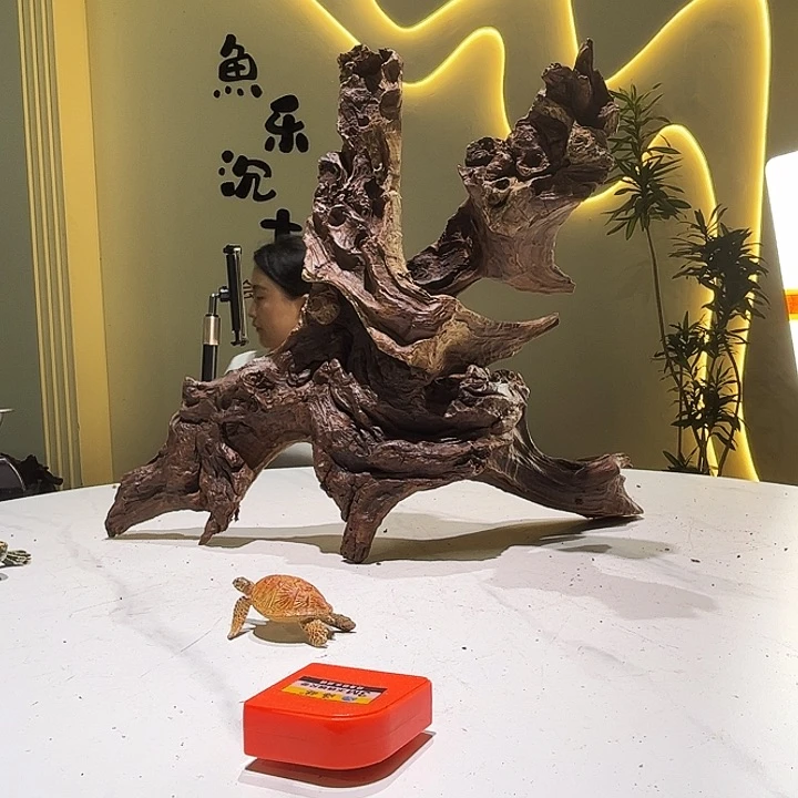 小***儿会黄黑红水846。54 23 47