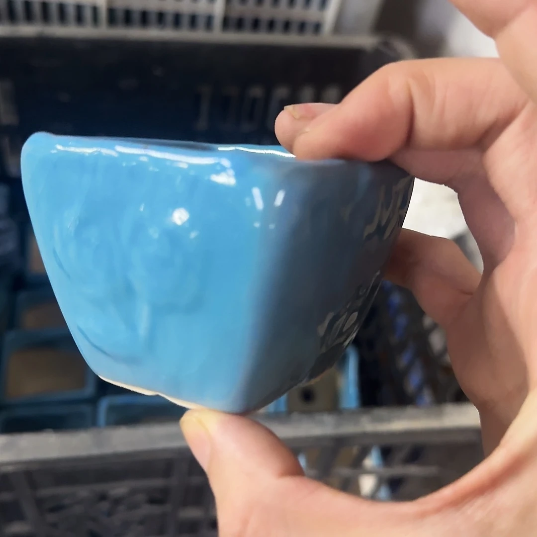 福利局绿植多肉盆［凑9元包邮24小时发］