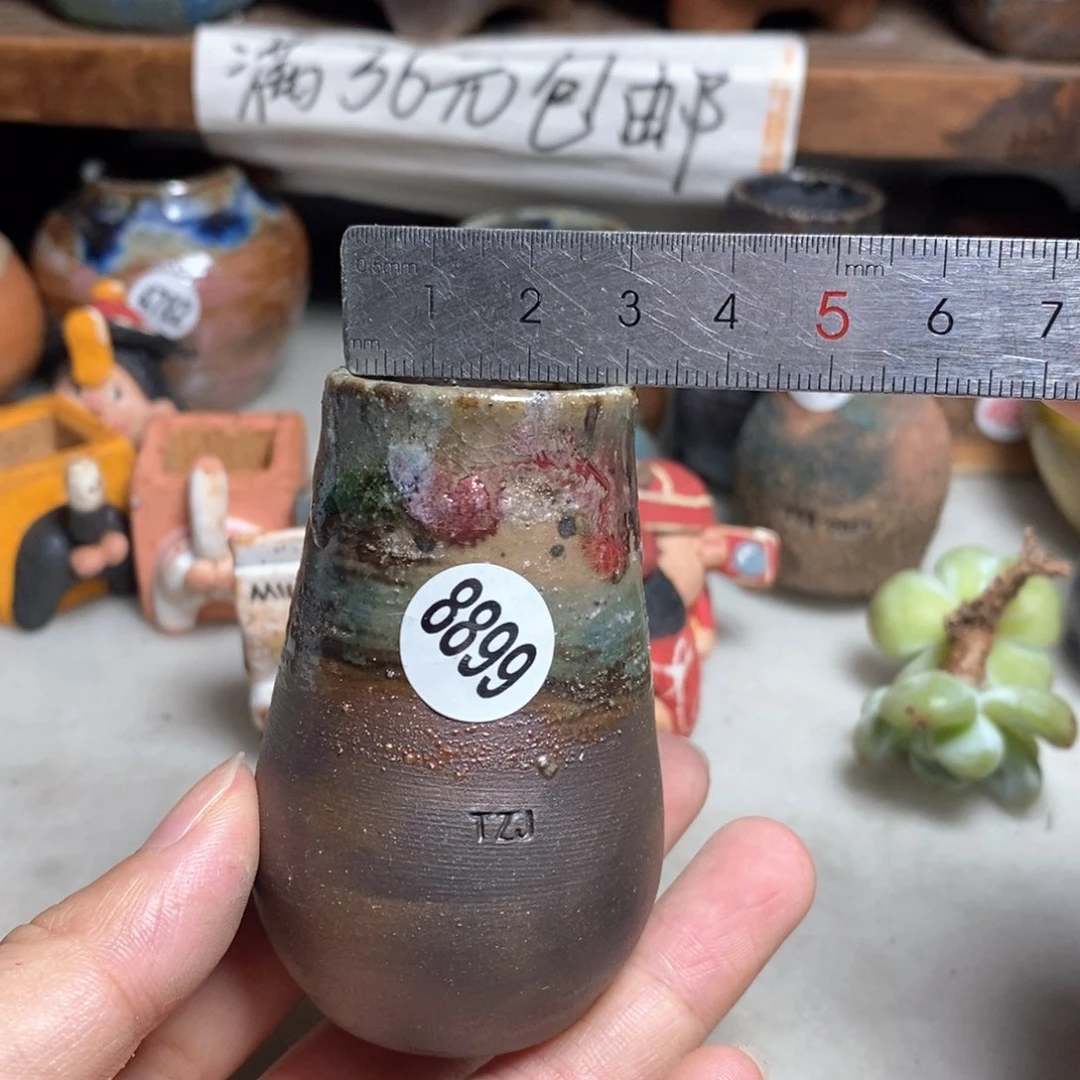 拍5送一个小礼物