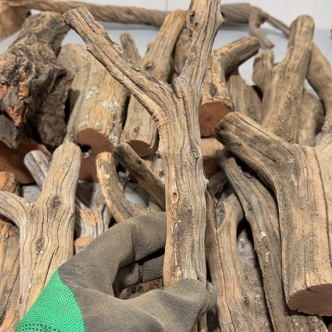 大果紫檀（缅甸花梨）临****）