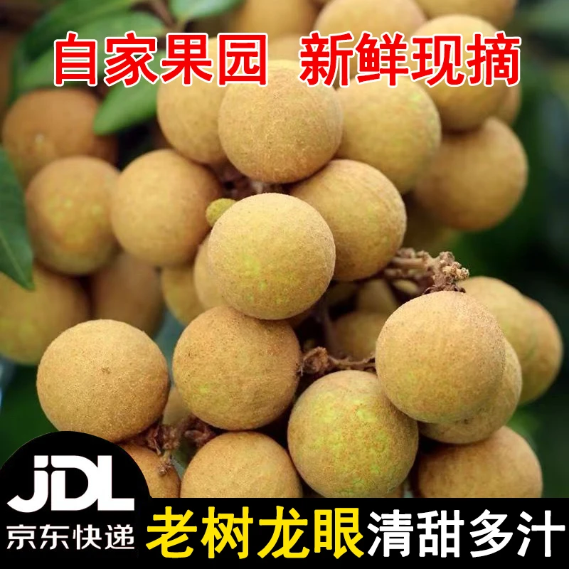 京东快递】福建漳州新鲜龙眼当季现摘乌龙岭桂圆清甜多汁果园直发