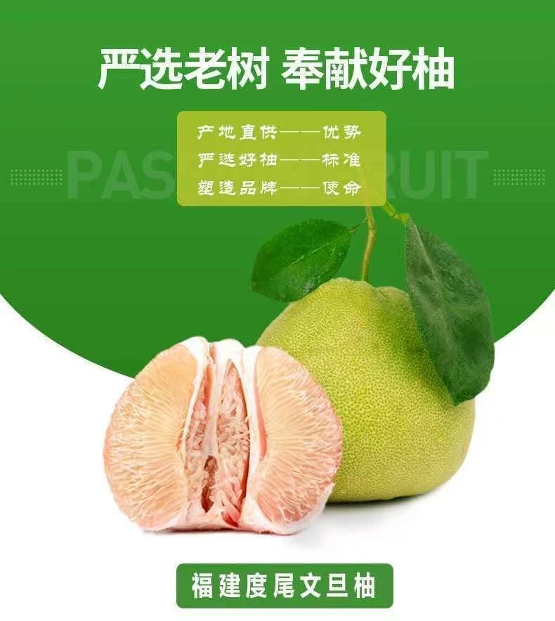 正宗度尾文旦柚新鲜饱满爆汁当季水果