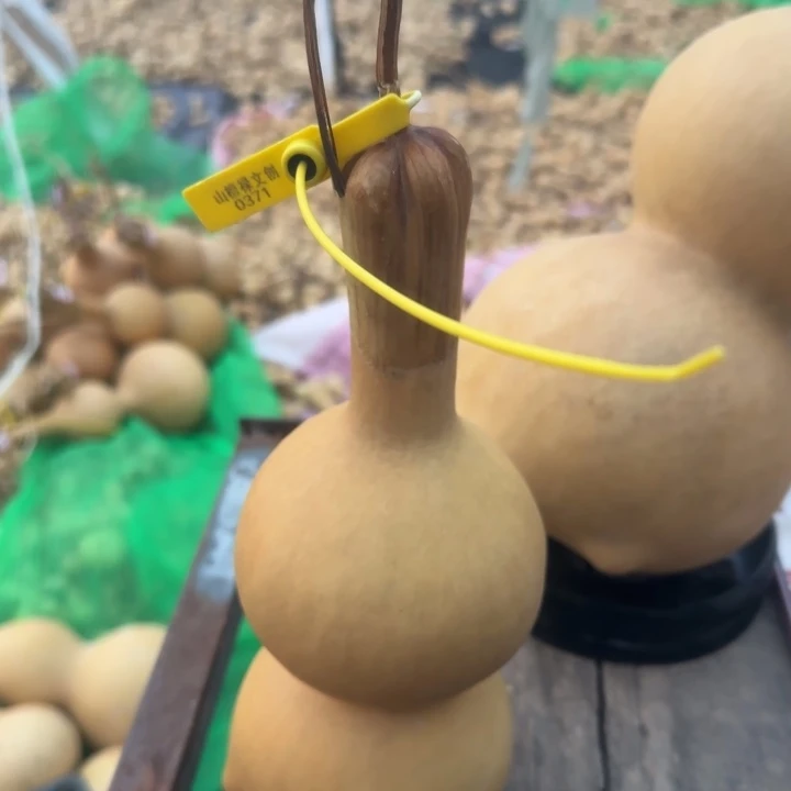 咕噜咕噜互亏力兔快乐