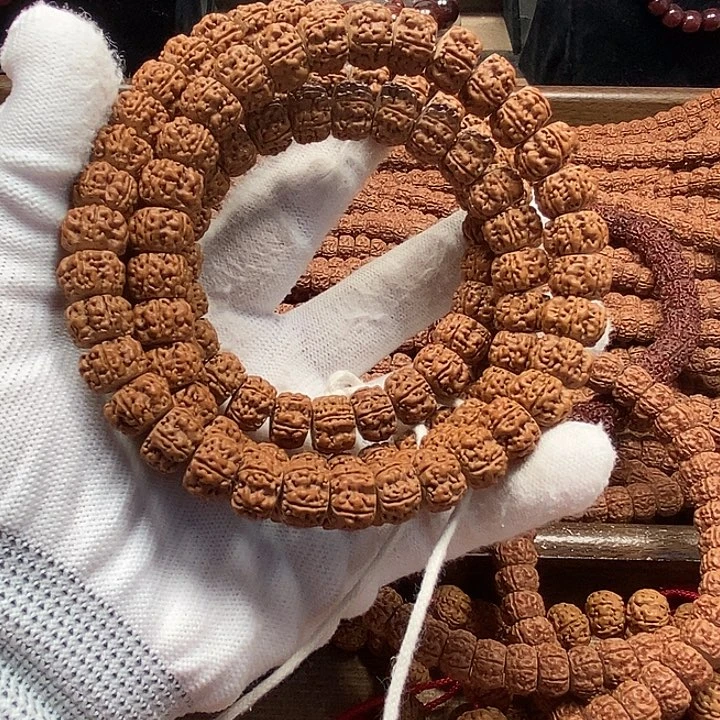 C***.金刚菩提吊坠树王盘龙