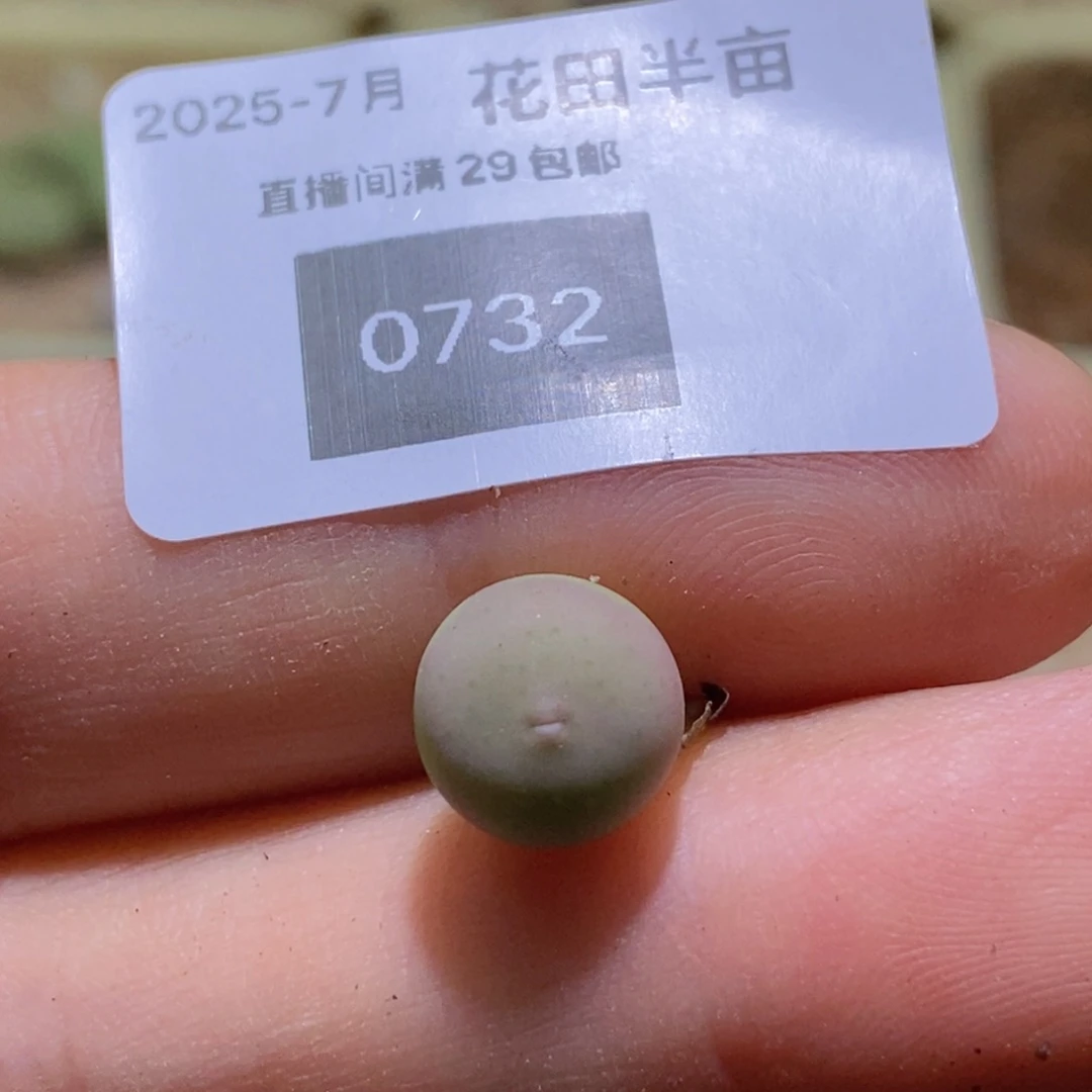 C****6-0732好看好看434v嘴