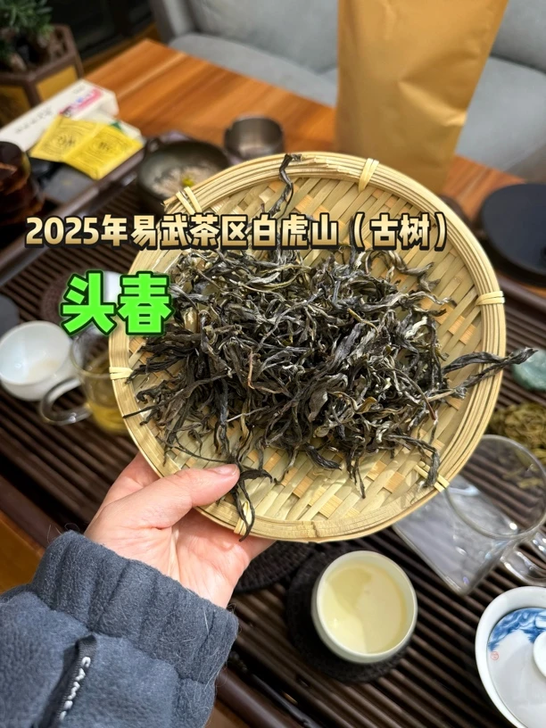 【易武·白虎山】2025年头春古树生茶