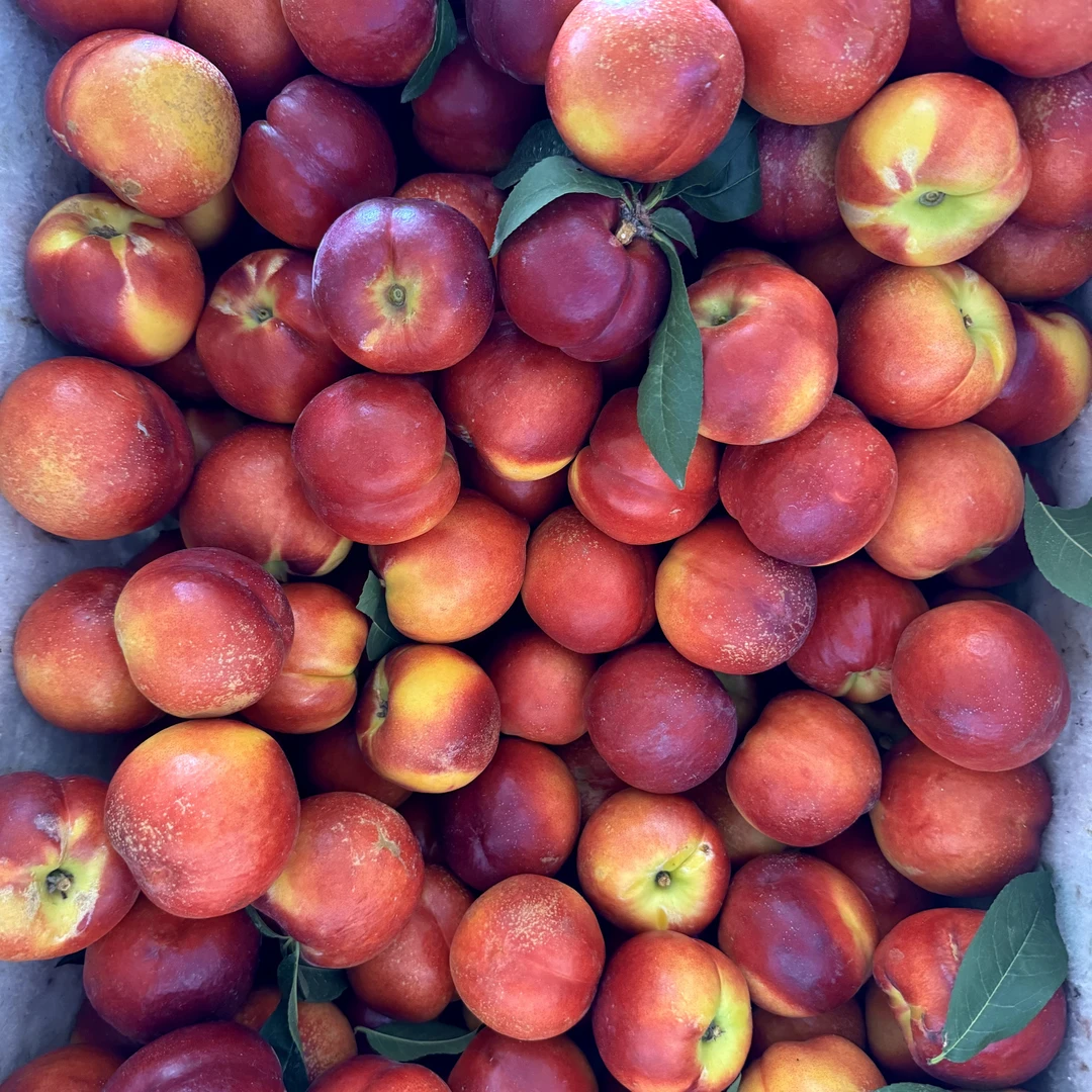 新鲜现摘黄心油桃4斤装脆甜可口