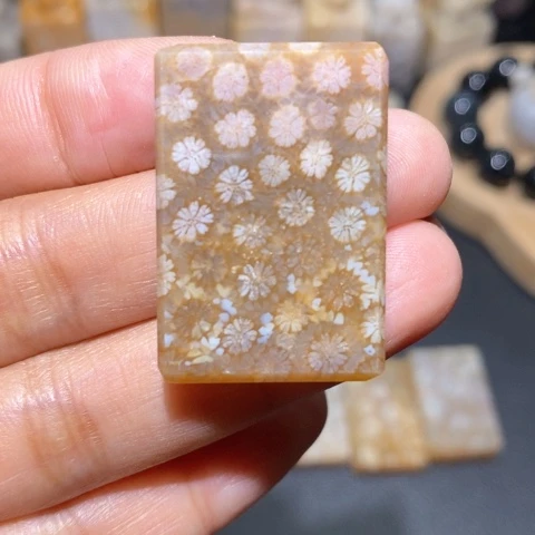 【闪购商品】硅化玉吊坠(不含链)未镶嵌