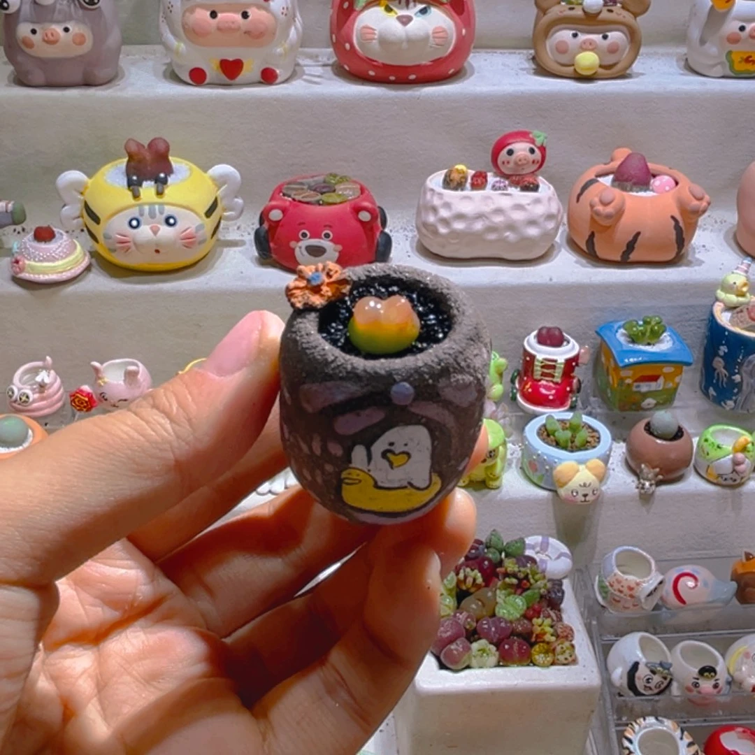 046拉登带盆土一套38