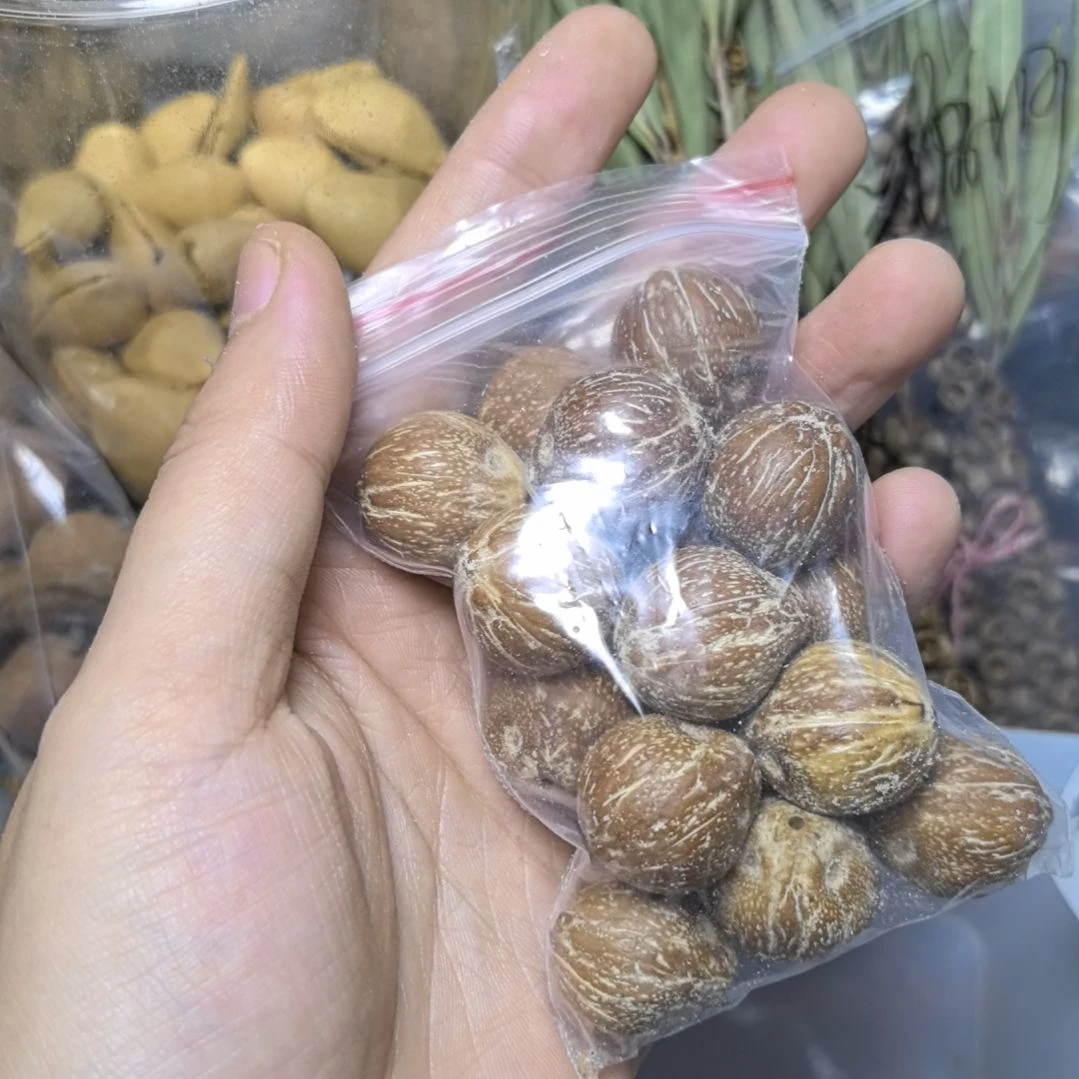 清****柏香籽/百香籽吊坠菩提散珠自选菩提散珠