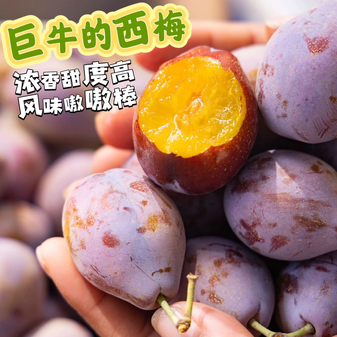 很牛批的新疆喀什小西梅 风味浓 甜度高 俏皮风味酸 3斤 顺丰空运