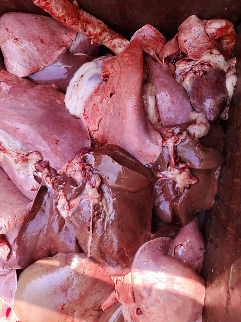 清真新鲜生羊心肝肺，好吃不贵，经济实惠