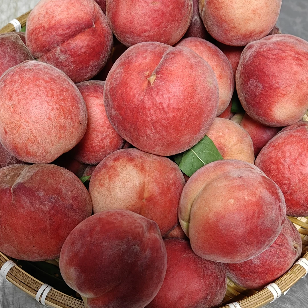 皖西大红桃 新鲜采摘 脆甜可口