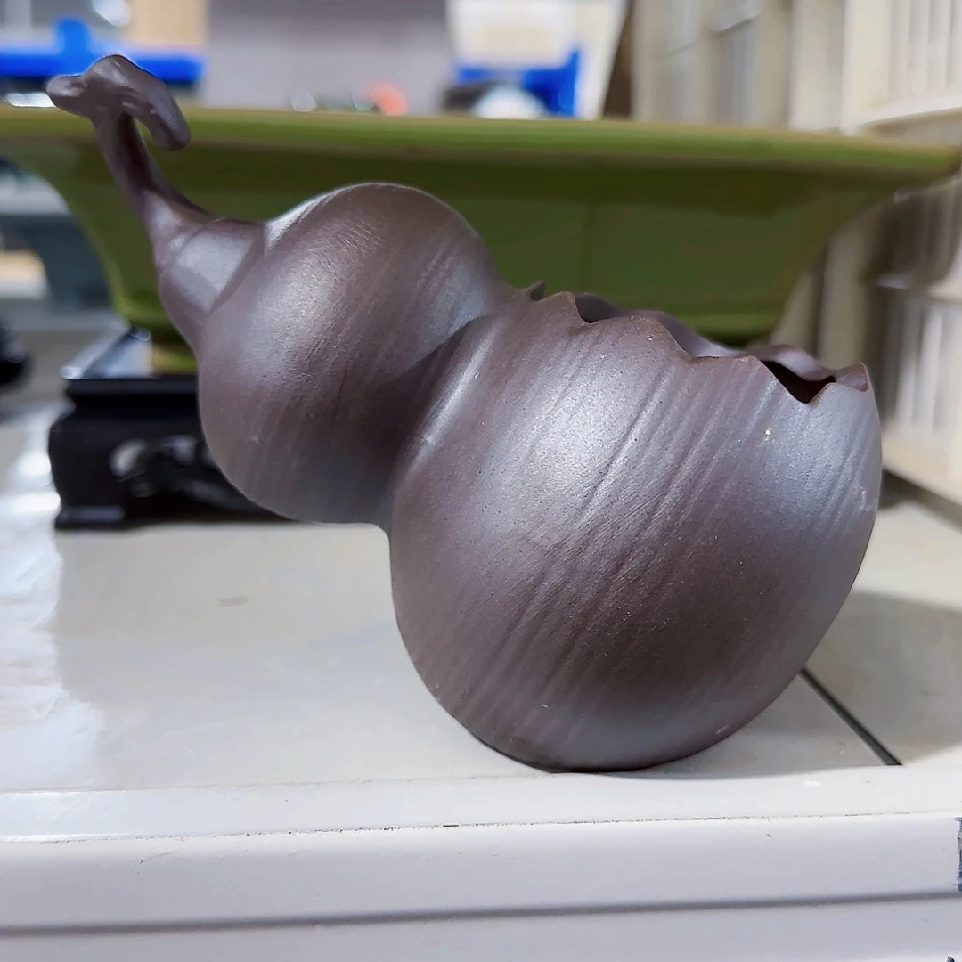 陶瓷花盆特价上新