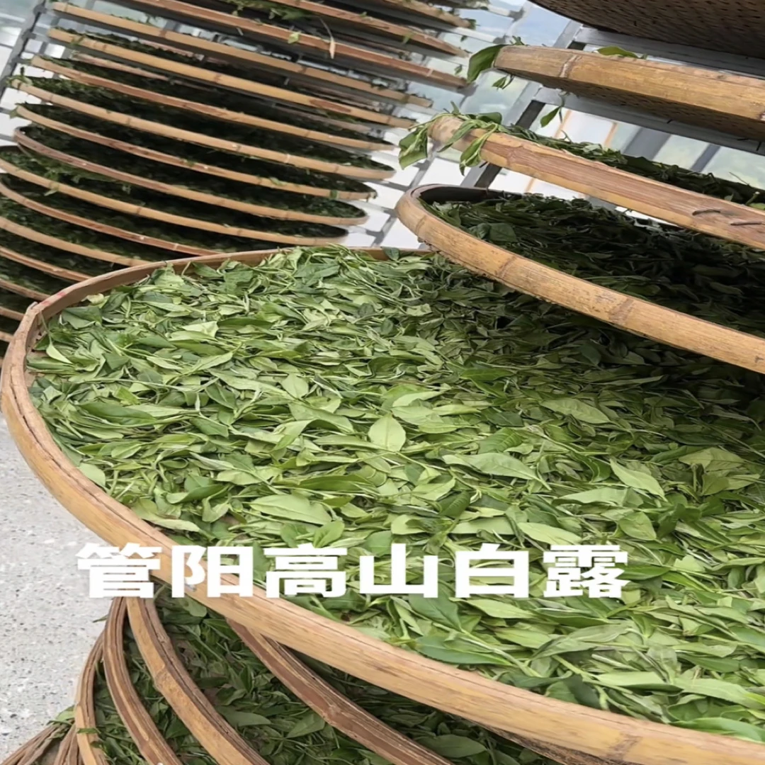 2025年管阳河山秋白露寿眉.鲜甜.花香