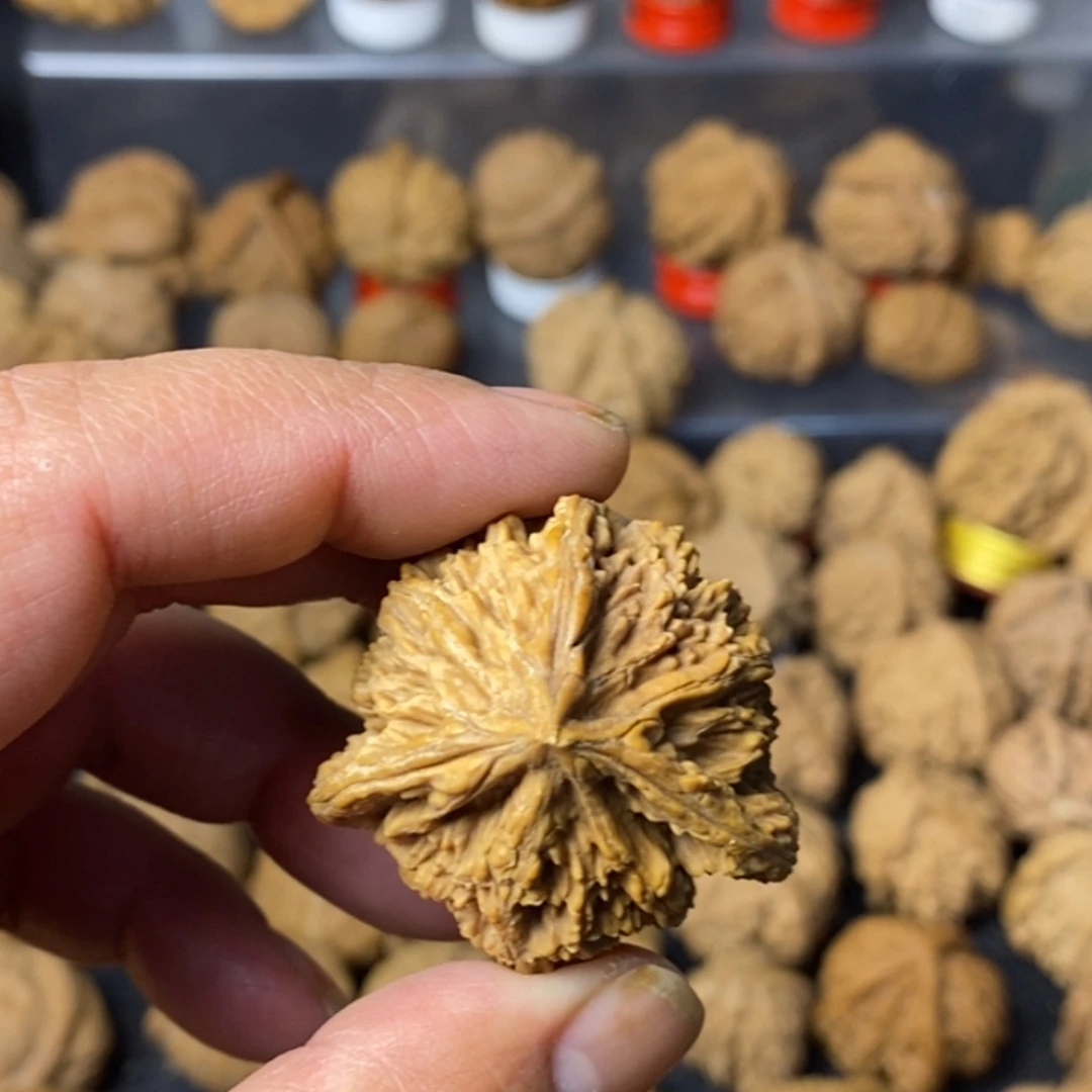快***恼大叶紫檀（黑酸枝木类）