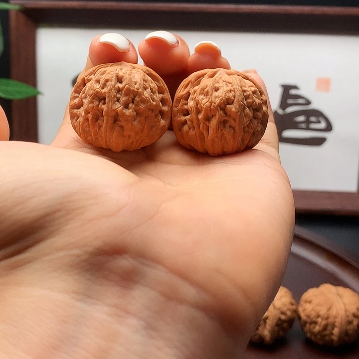 野生小手捻32尺寸有修