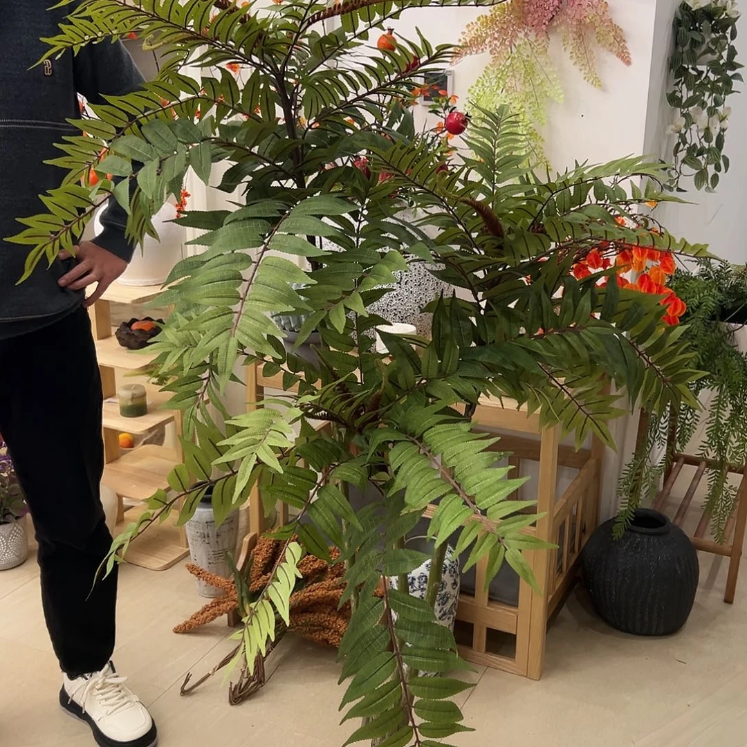 抖音直播香椿树福利