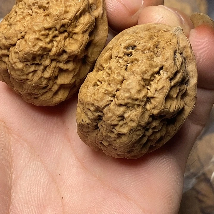 文玩核桃把件云南铁核桃63