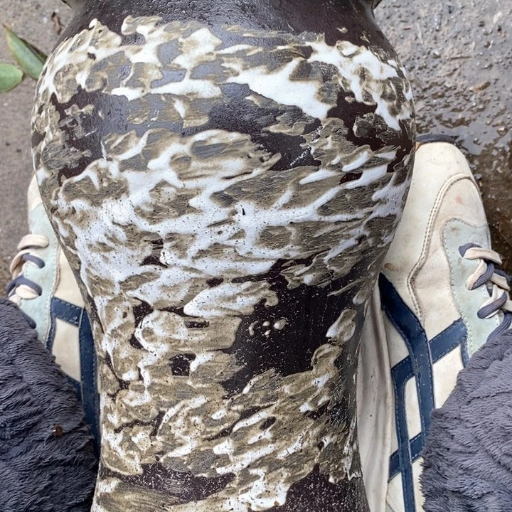 紫砂花盆高约28口约15