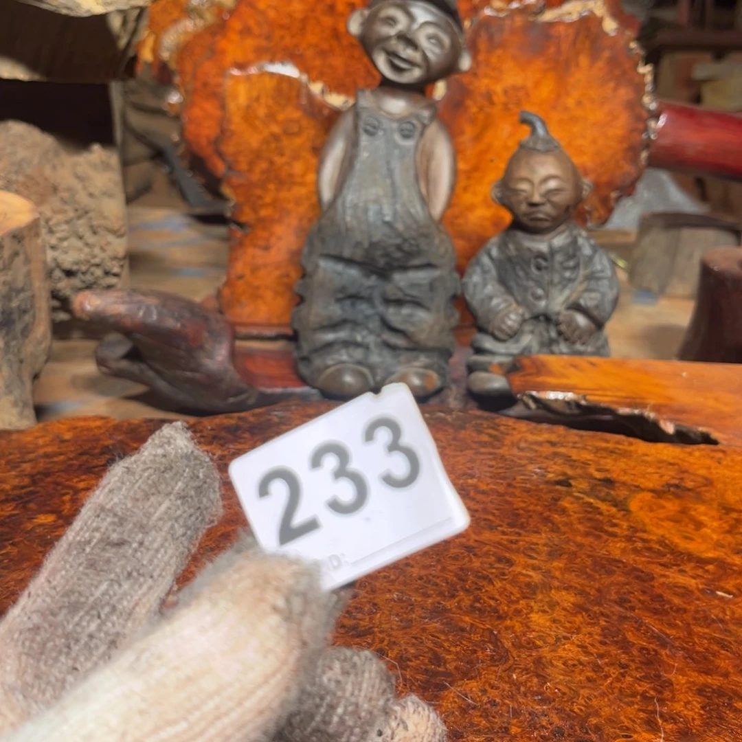 大果紫檀（缅甸花梨）J**i