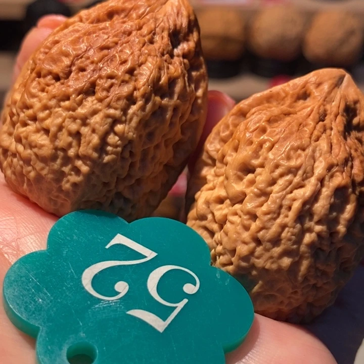 菩提籽类七彩铁南疆39尺寸