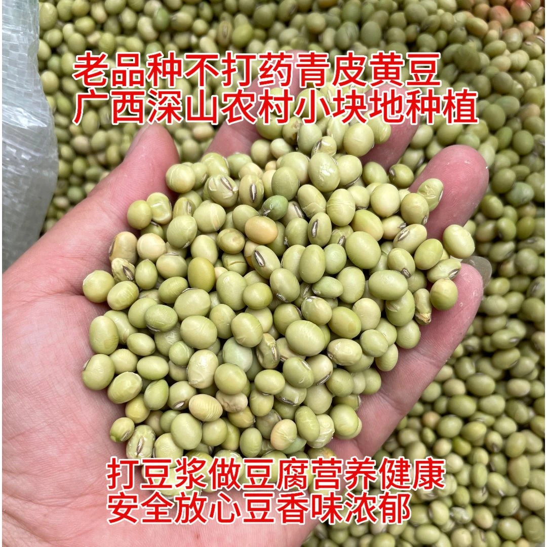 25年新深山农村老品种青皮黄豆1斤不打药营养健康广西小块地种植
