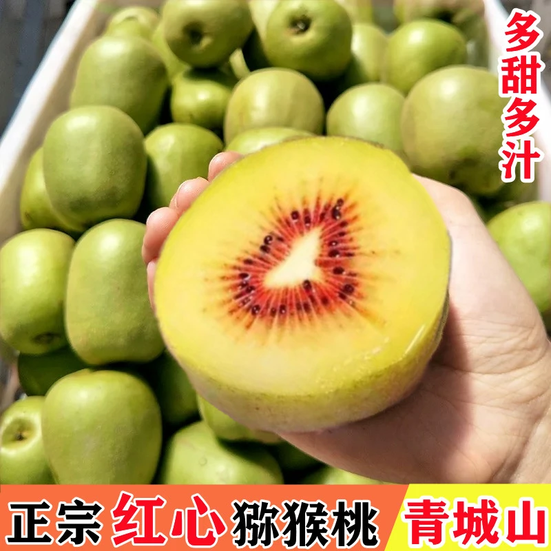 四川都江堰红心猕猴桃青城山现摘新鲜水果中大果