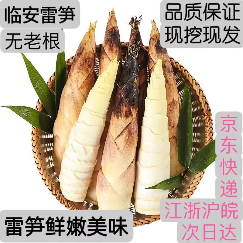 临安新鲜稻壳雷笋稻壳笋现挖现发时令蔬菜美味煲汤鲜嫩春菜