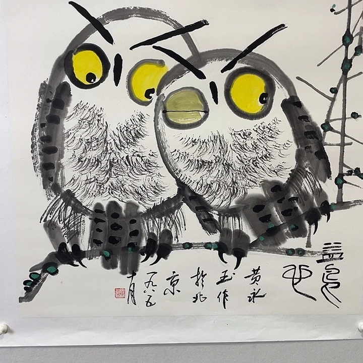 横款黄老师猫头鹰