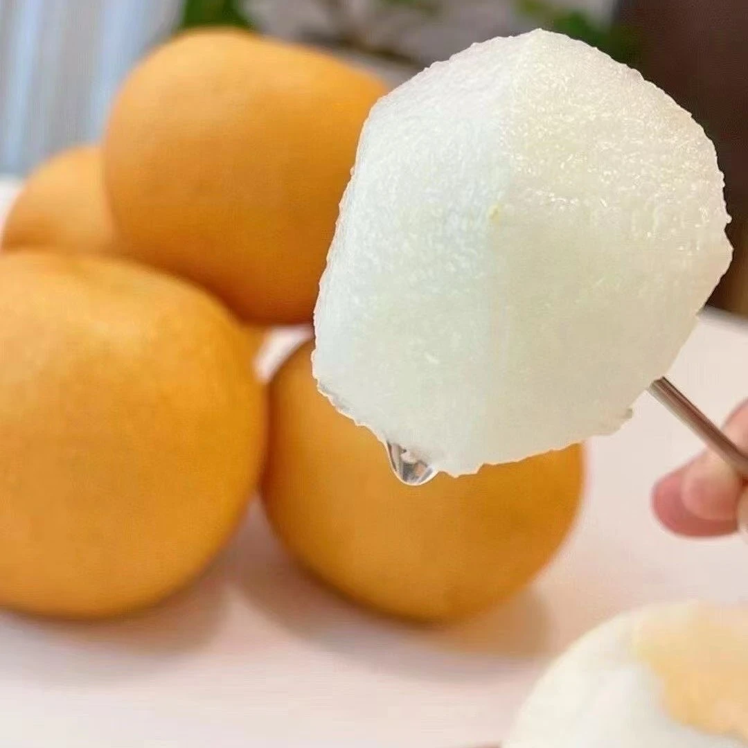 【莱阳秋月梨】大果当季水果 多汁脆爽 鲜嫩细腻 7.5斤/深圳