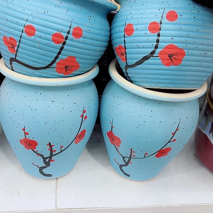 多肉植物陶瓷花盆