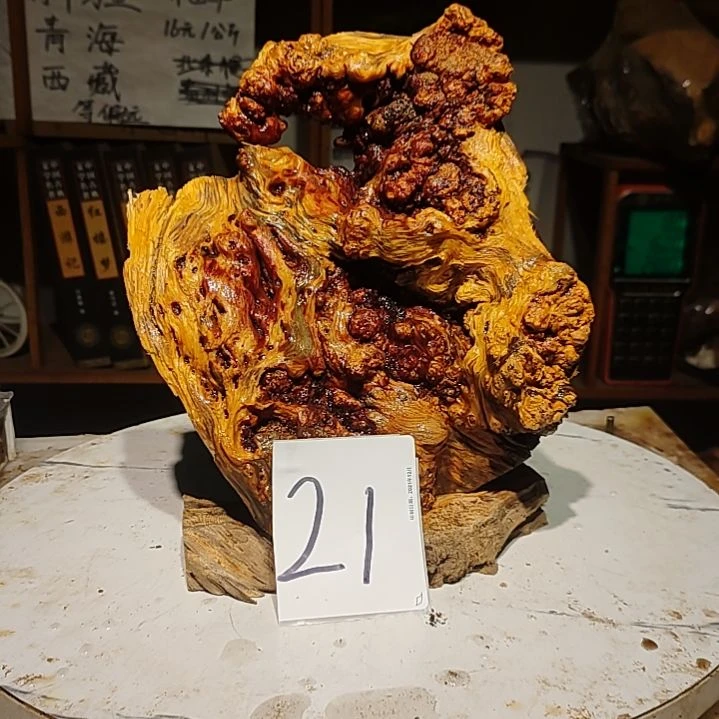 松木神****石21号北沉香琥珀木天然造型