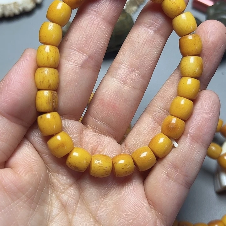 大果紫檀（缅甸花梨）