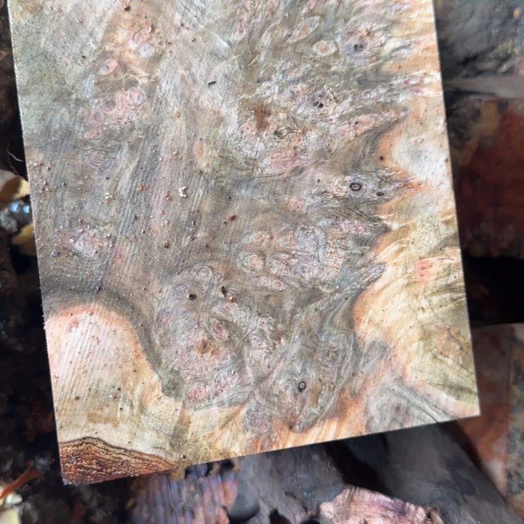 灵*弄小叶羊蹄甲老料瘤疤料子