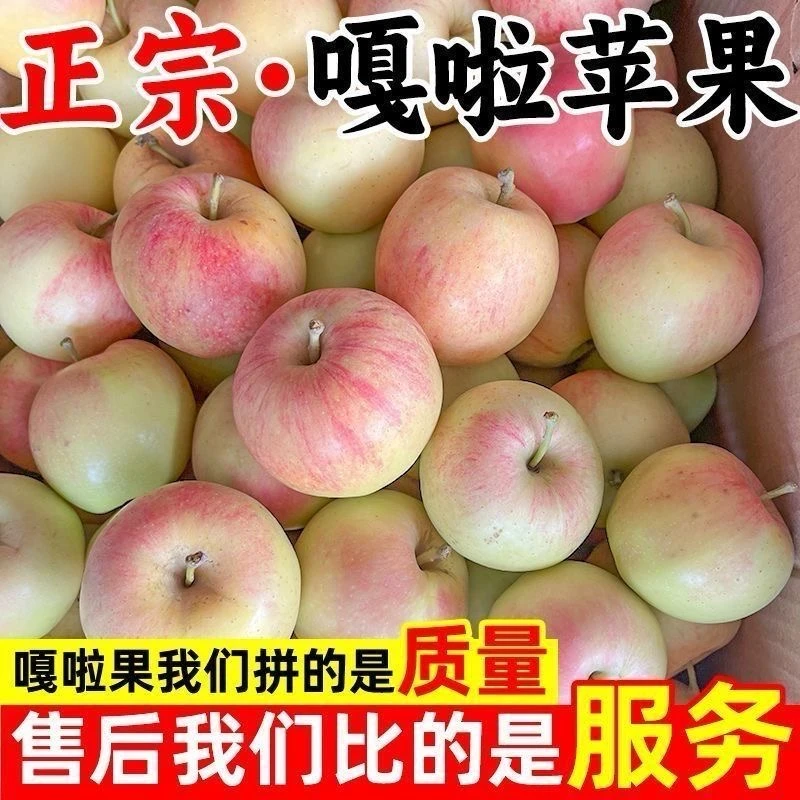 (2025年新果子)现摘苹果嘎啦当季新鲜正宗脆甜爆甜水果整箱批发