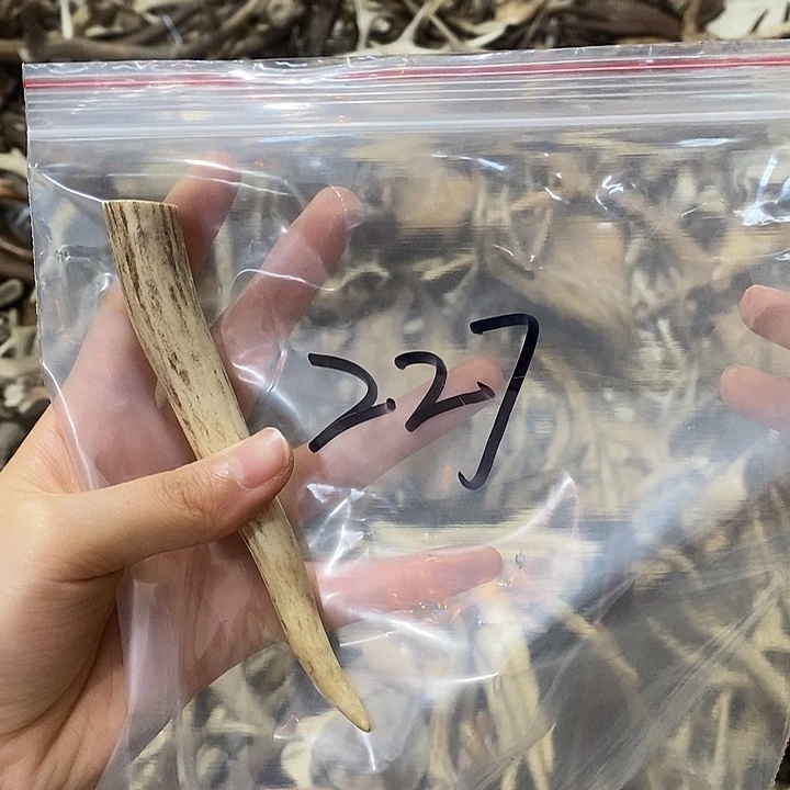 鹿角鹿角鹿角鹿角鹿角鹿角鹿