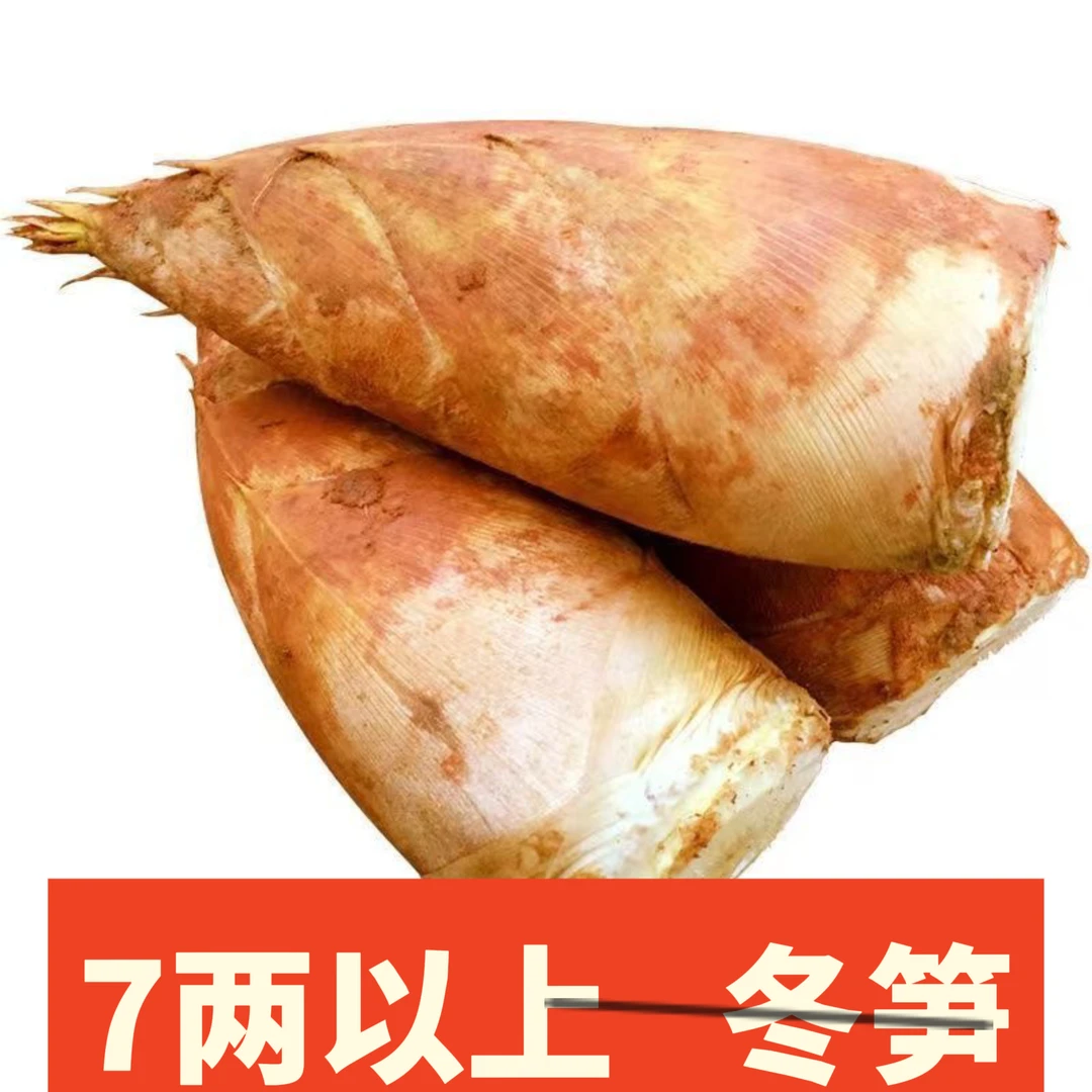 7两以上特大号冬笋江西深山现挖野生新鲜黄泥冬笋不苦不涩不麻嘴