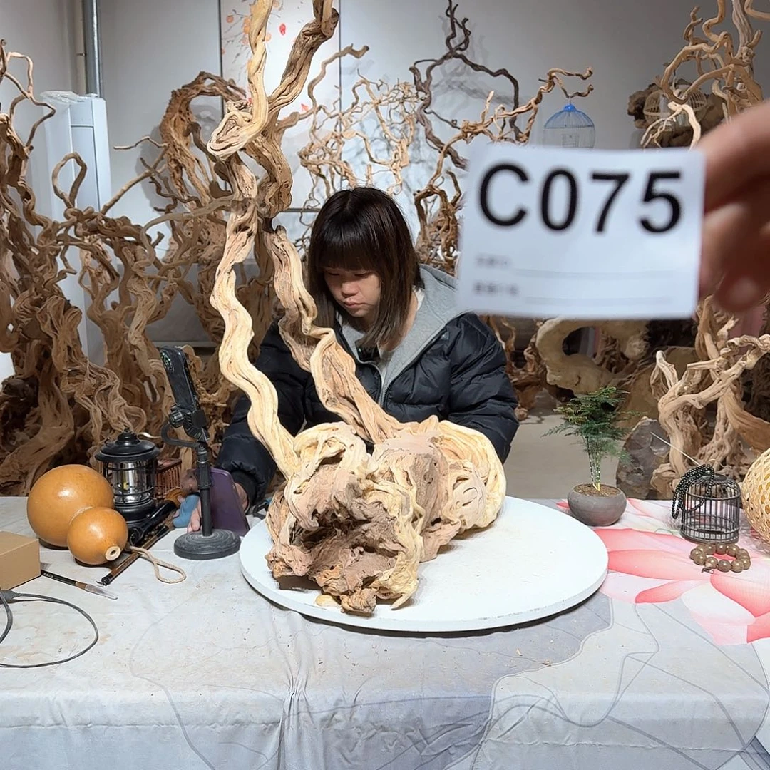 风车木（黑檀木）8****