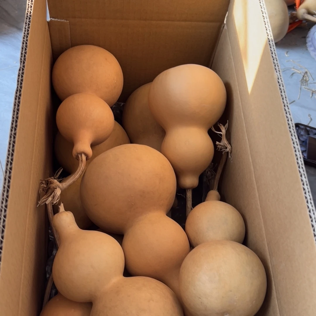 ****际有机玻璃葫芦葫芦