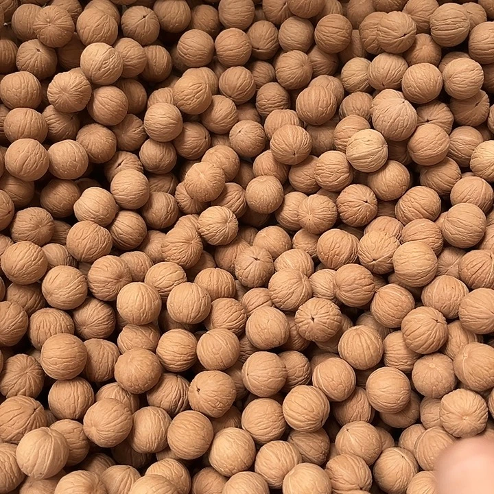z***手串猴头核桃聚宝盆50颗