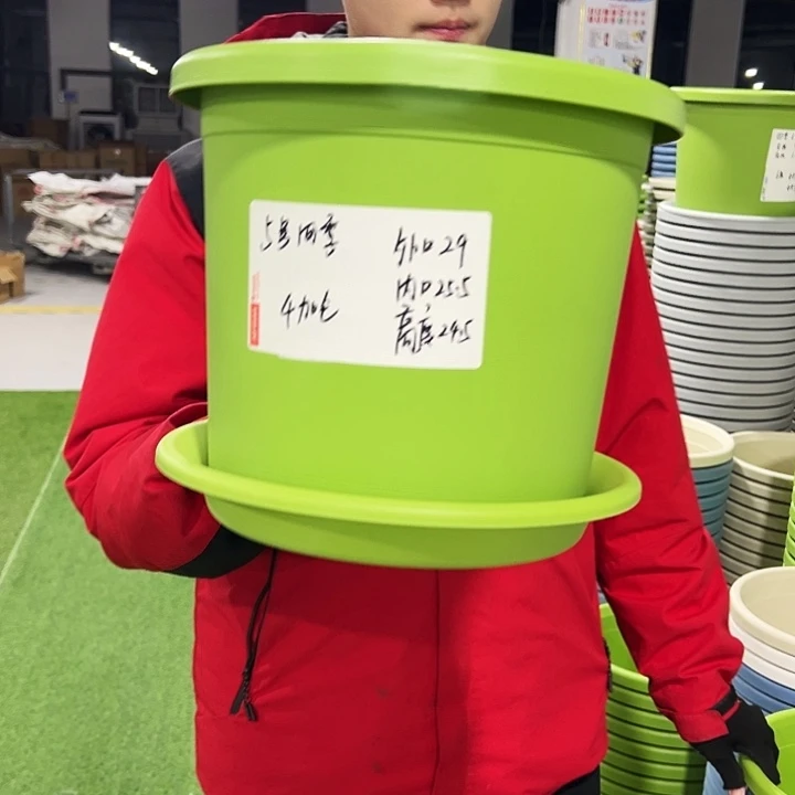 特价5号口29高24.5果绿色6只带托