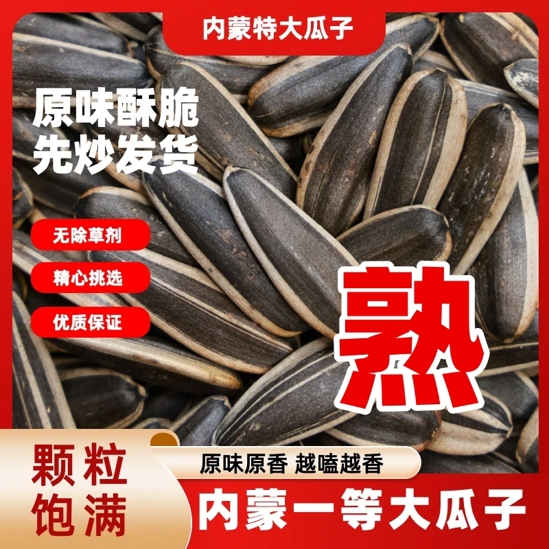 3斤 原味葵花籽 新货颗粒饱满 内蒙古大颗粒 皮薄好磕 办公零食