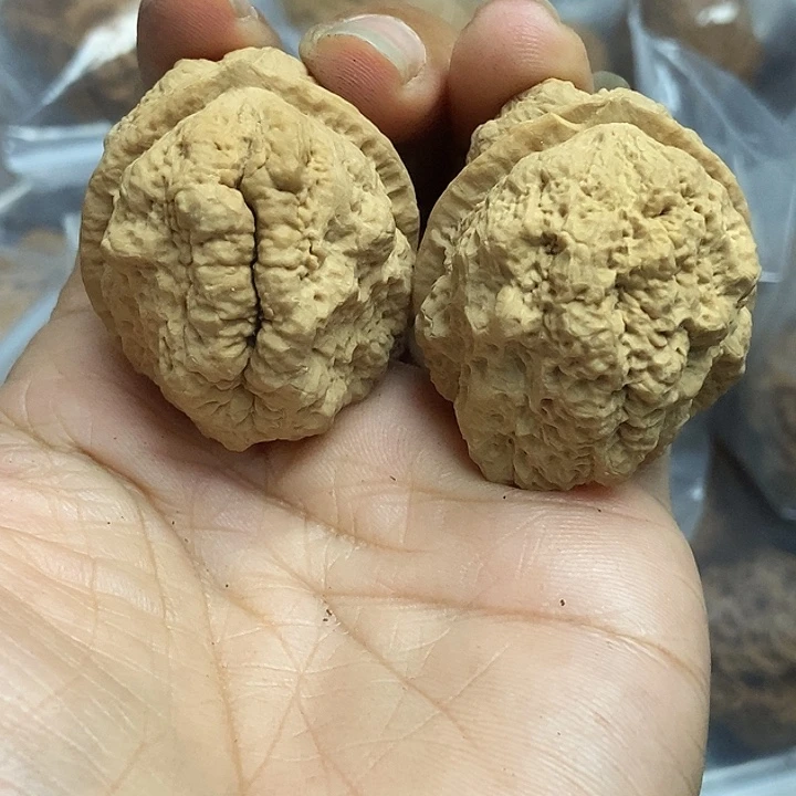 文玩核桃把件云南铁核桃基地60