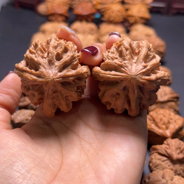 苹果园丁字奔核桃哈哈哈哈哈