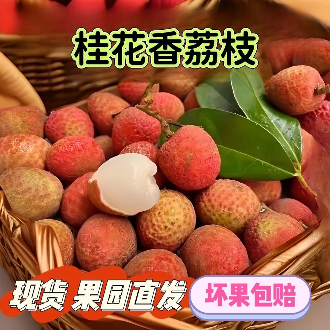 【空运直达】海南空运桂花香荔枝老树大果时令新鲜水果现摘现发