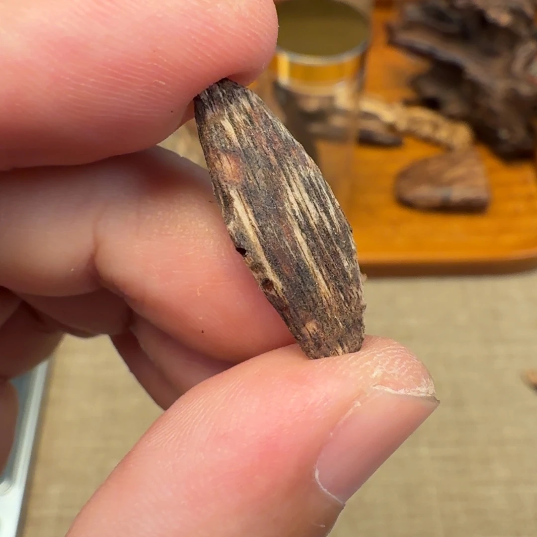 沉香斯里兰卡瓜子