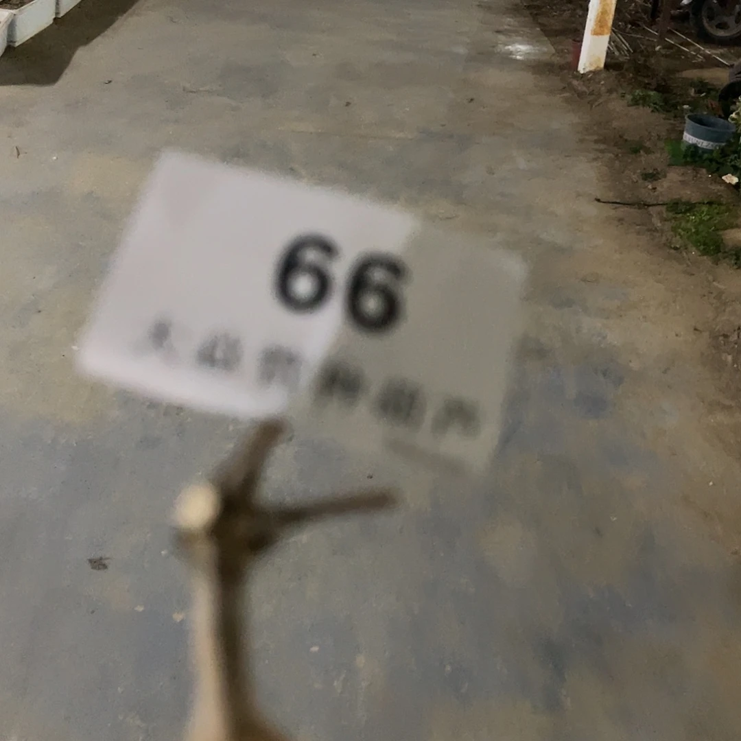 哈哈哈哈哈high哈哈哈66