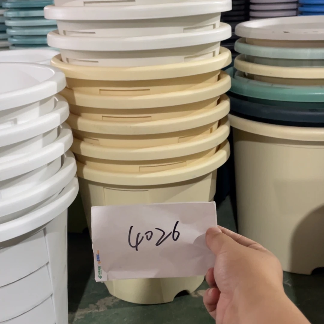 乖*编号是4026的编号